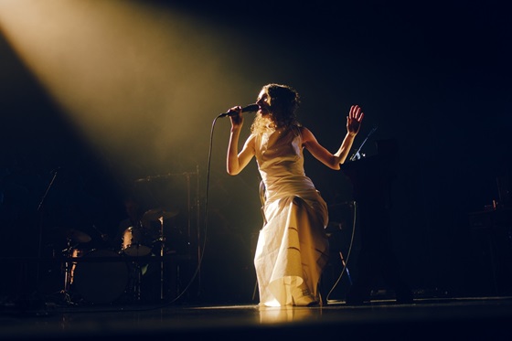 絶版 PJ Harvey 「The Hollow of the Hand」大型本 P.J.HARVEY